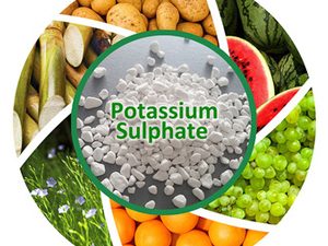 Potassium Sulphate